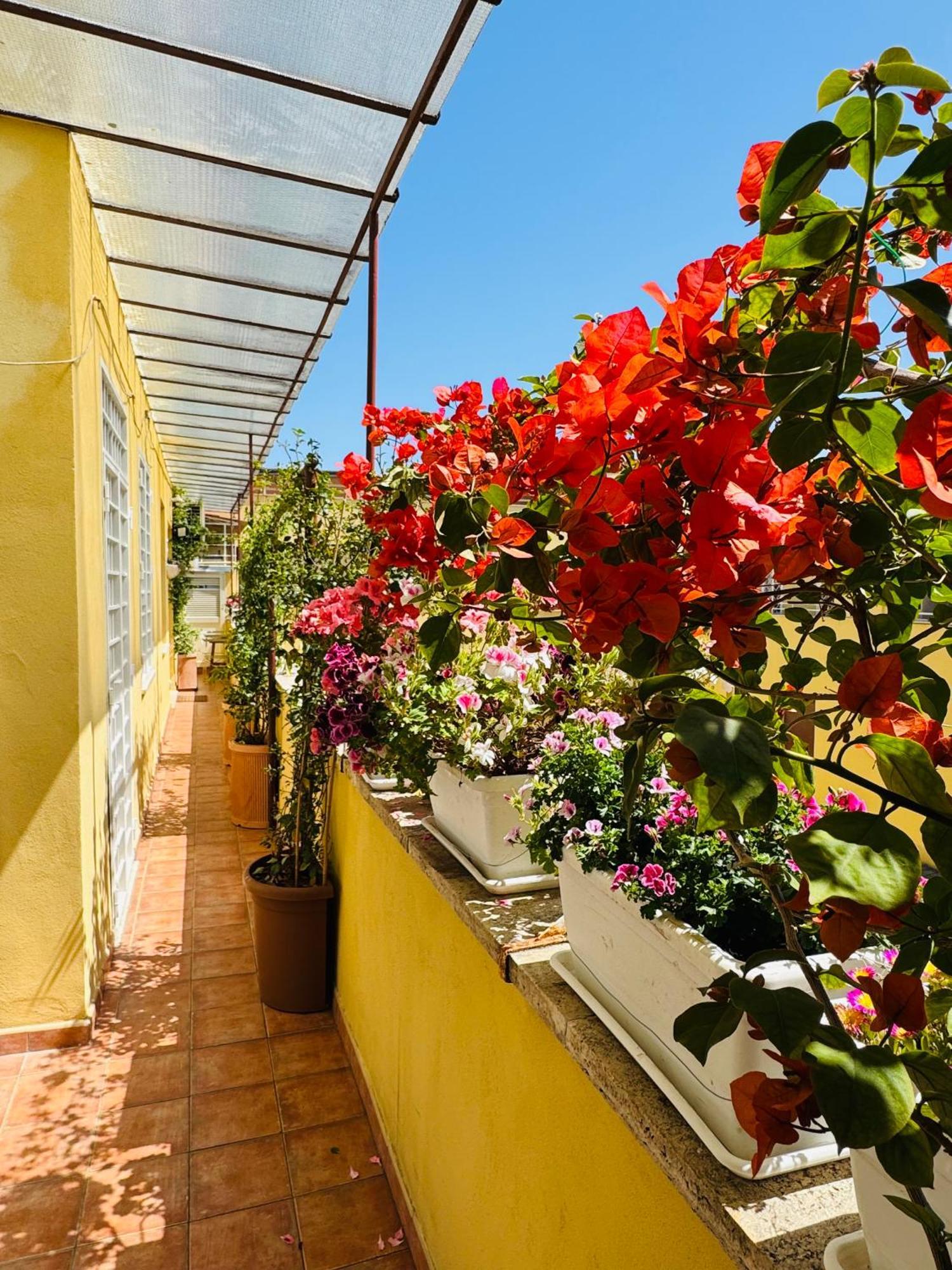 Otranto 36 Apartment Roma Exterior foto
